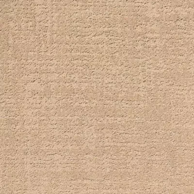 Belgotex Textured - Tulle - Earthy Swatch