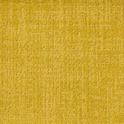 Belgotex Textured - Tulle - Mustard Swatch