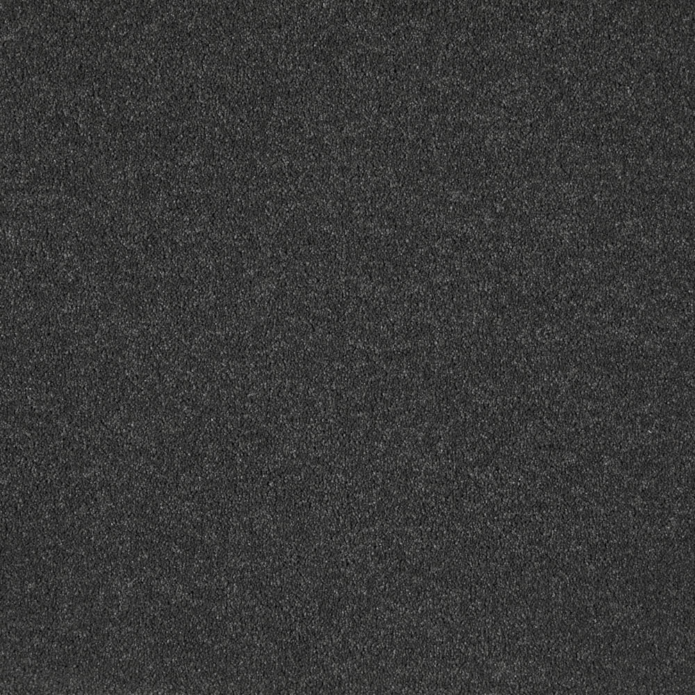 Belgotex Westminster - Palpate Swatch