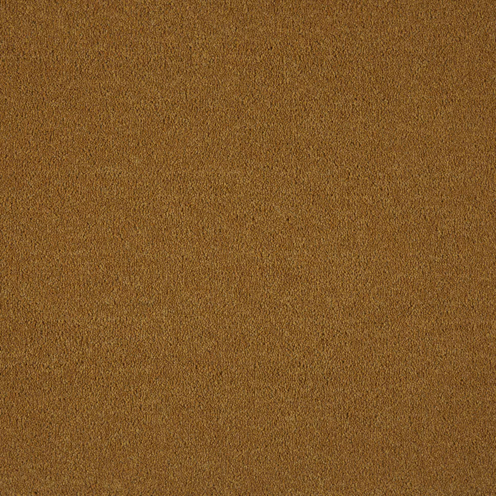 Belgotex Westminster - Vitamin Swatch