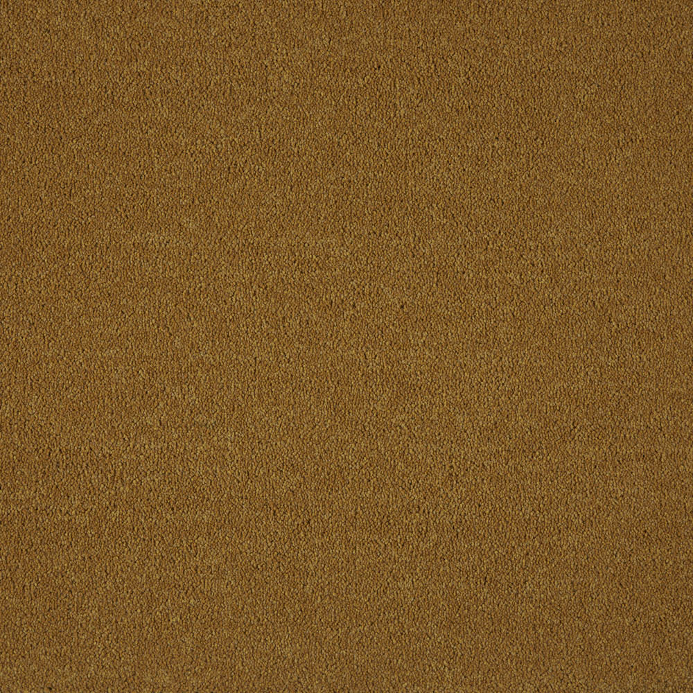 Belgotex Westminster - Vitamin Swatch