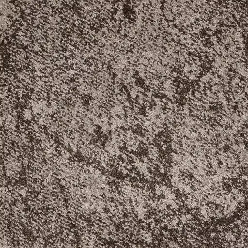 Belgotex Destination - Perpetual Swatch