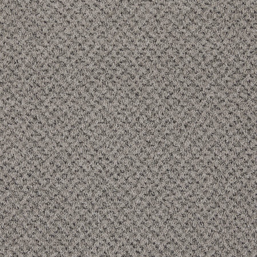 Belgotex Baltimore - Chalk Swatch