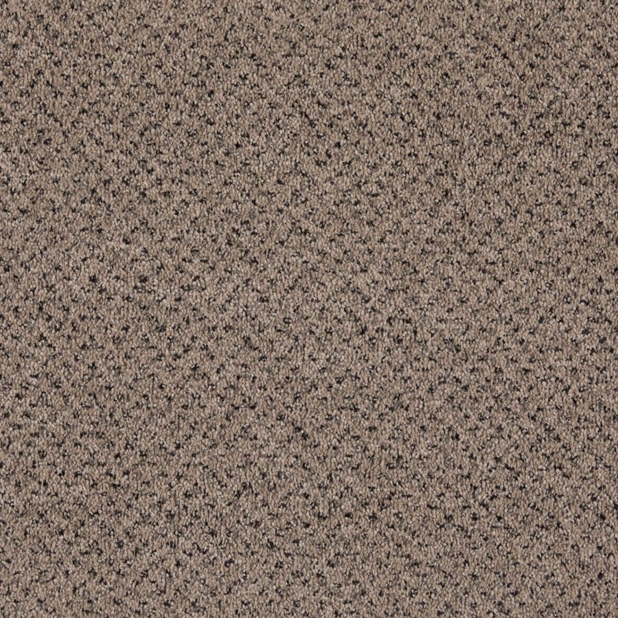 Belgotex Baltimore - Estate Swatch