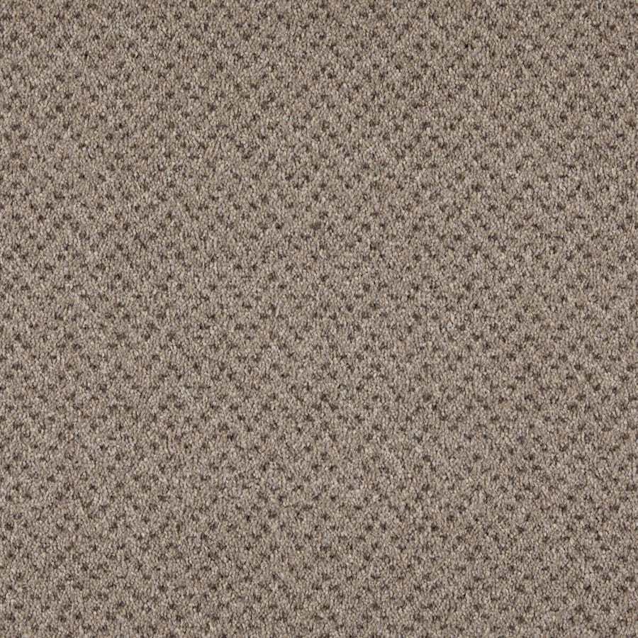 Belgotex Baltimore - Parchment Swatch