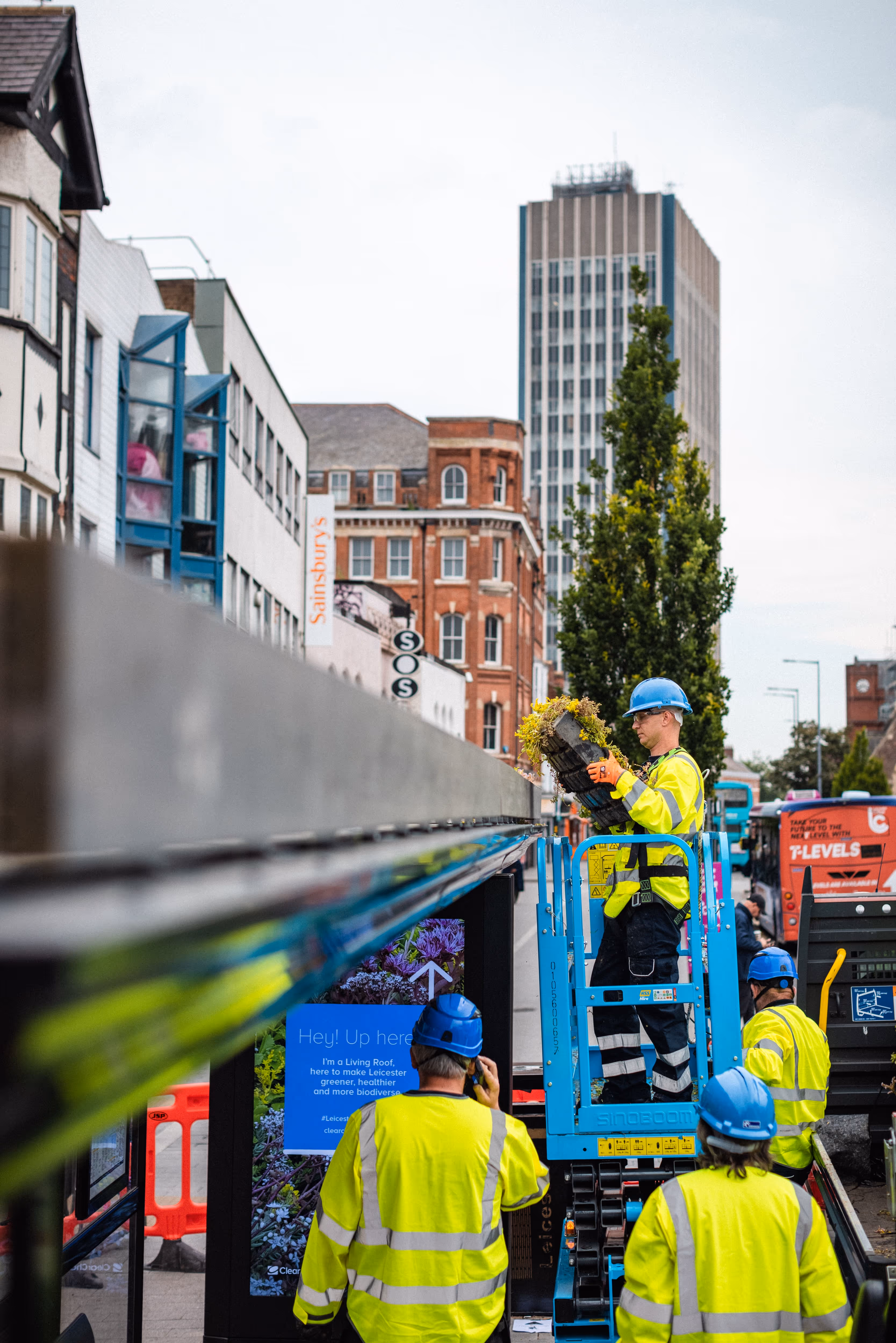 A Bauer Media Outdoor operative installing a living roof on a bus shelter standing on a cherry picker