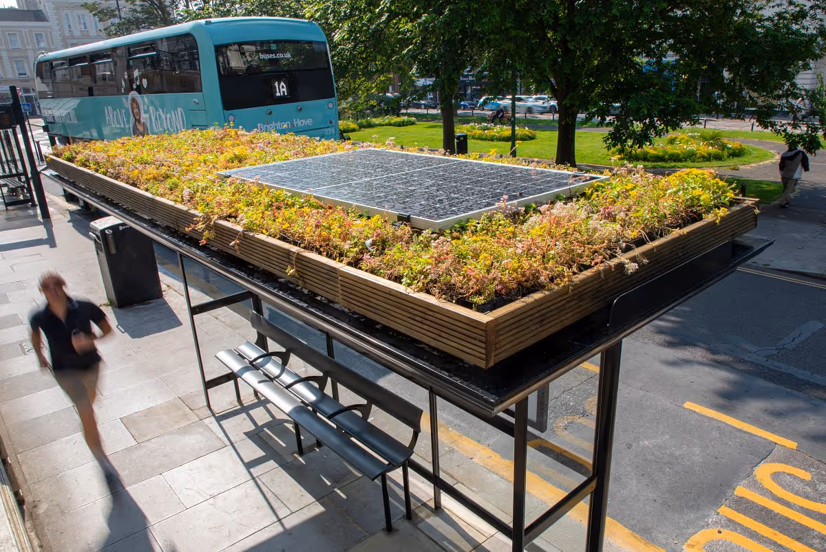 A pedestrian runs past a Bauer Media bus shelter, during the day, featuring a Living Roof with a solar panel on a sidewalk as vehicles pass by