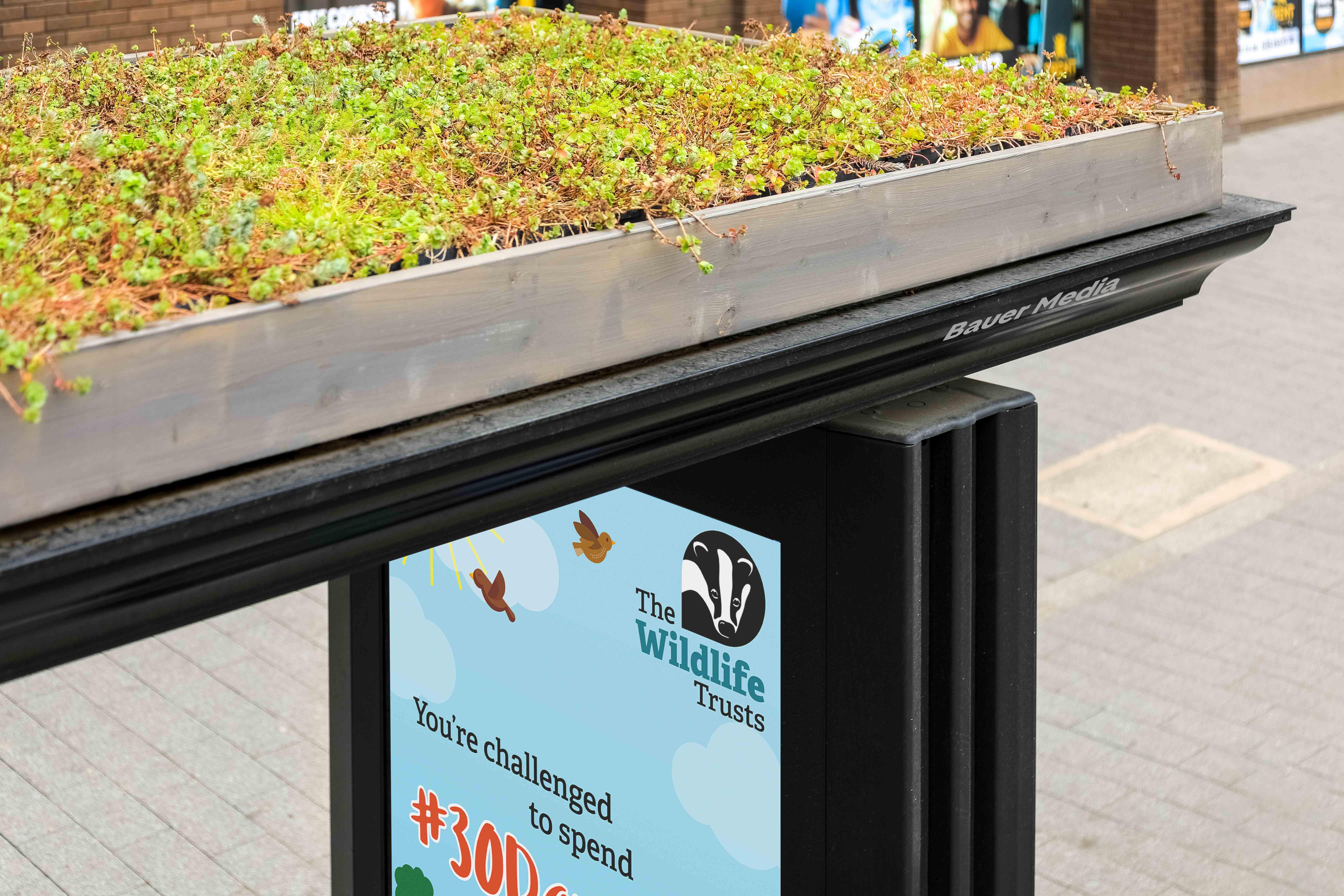 Close up arial shot of Bauer Media's Living Roof