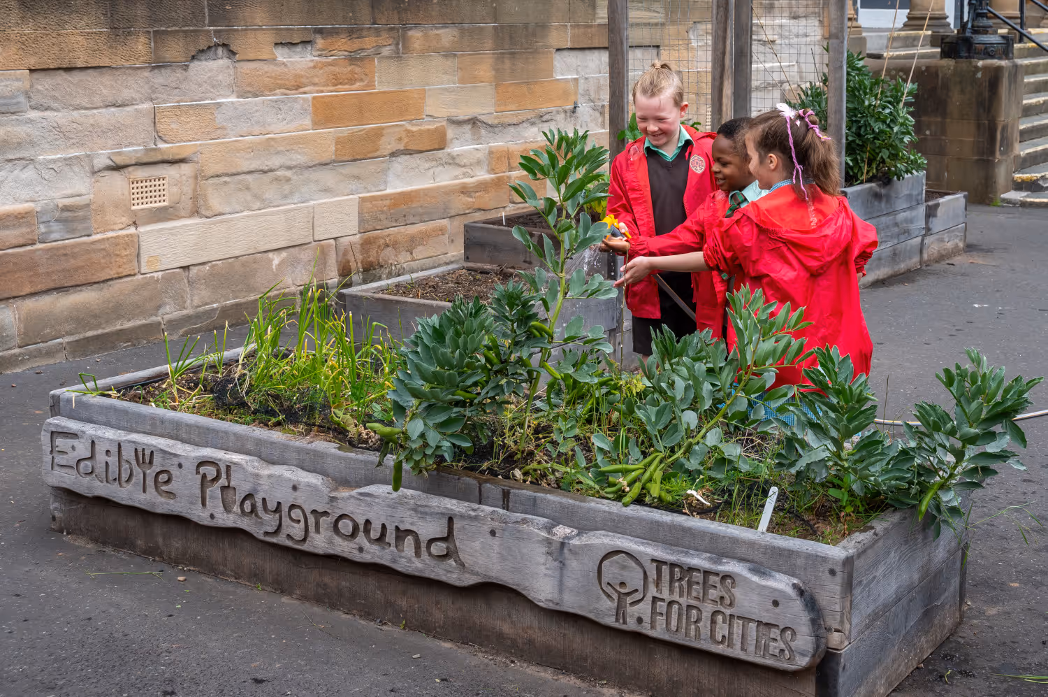 Bauer Media Outdoor Edible Playground