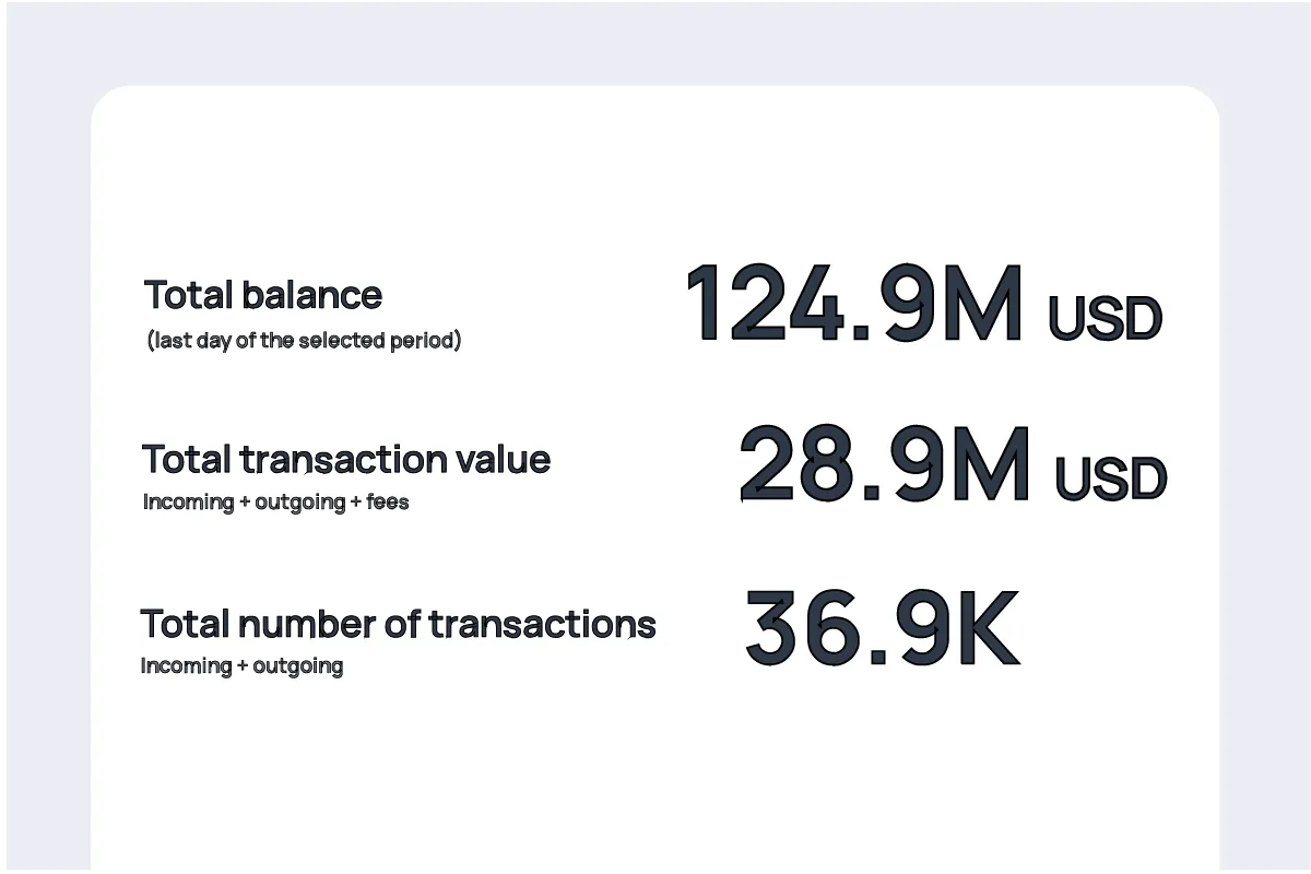 Summary of total balance, transaction value, and number of transactions displayed in large figures for a selected period.