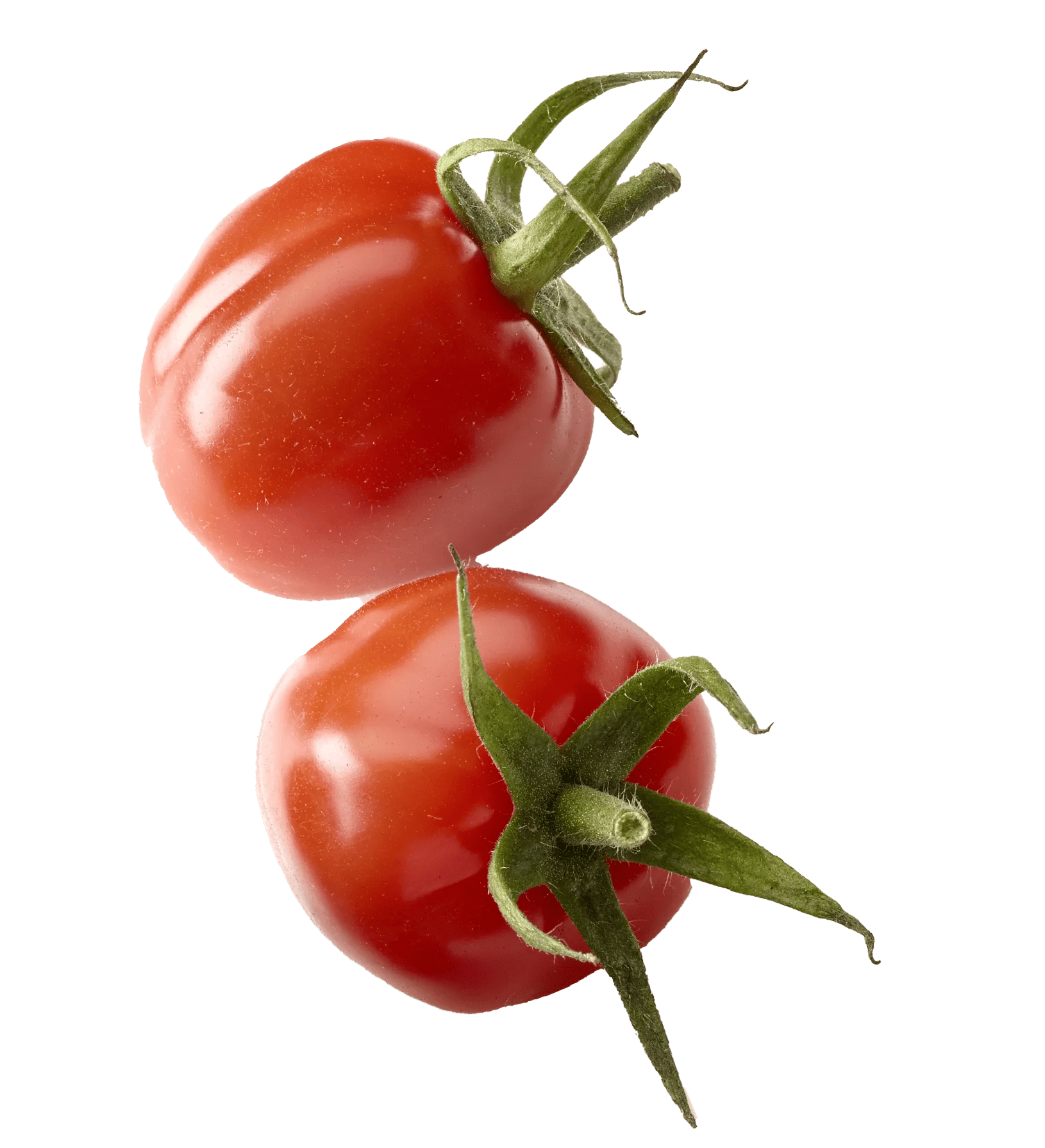 a single Frieda tomato, red, strawberryshaped and with a fresh green crown. Ideal for tapas.