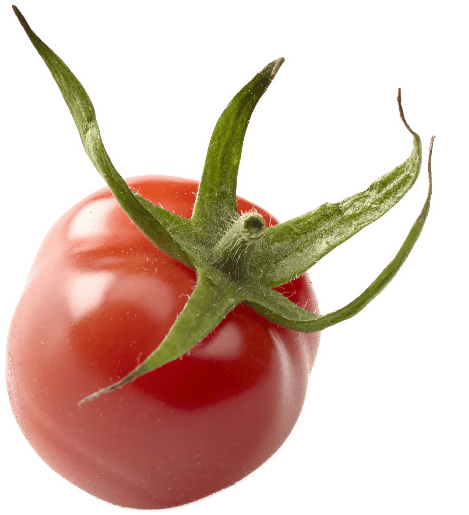 a single Frieda tomato, red, strawberryshaped and with a fresh green crown. Ideal for tapas.