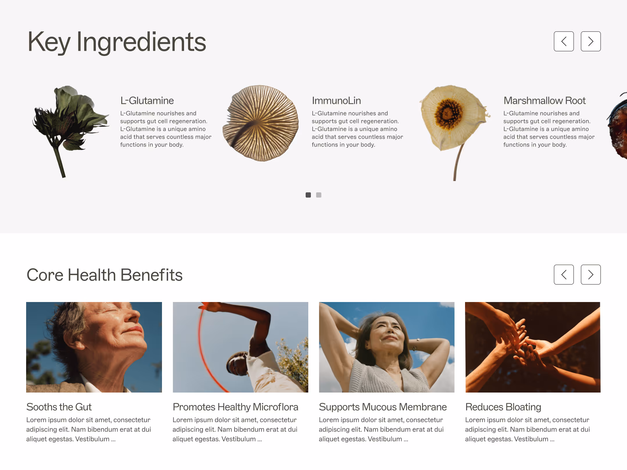 A key ingredients section on a product detail page with different cut outs of ingredient images.
