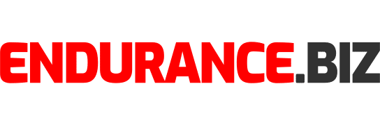 endurance.biz logo