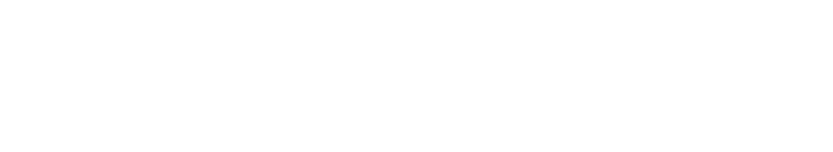 Shopify Plus partner logo with a shopping bag icon and stylized text.