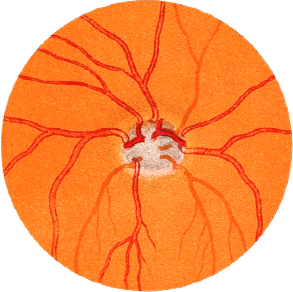 Left portion of retinal scan imagery