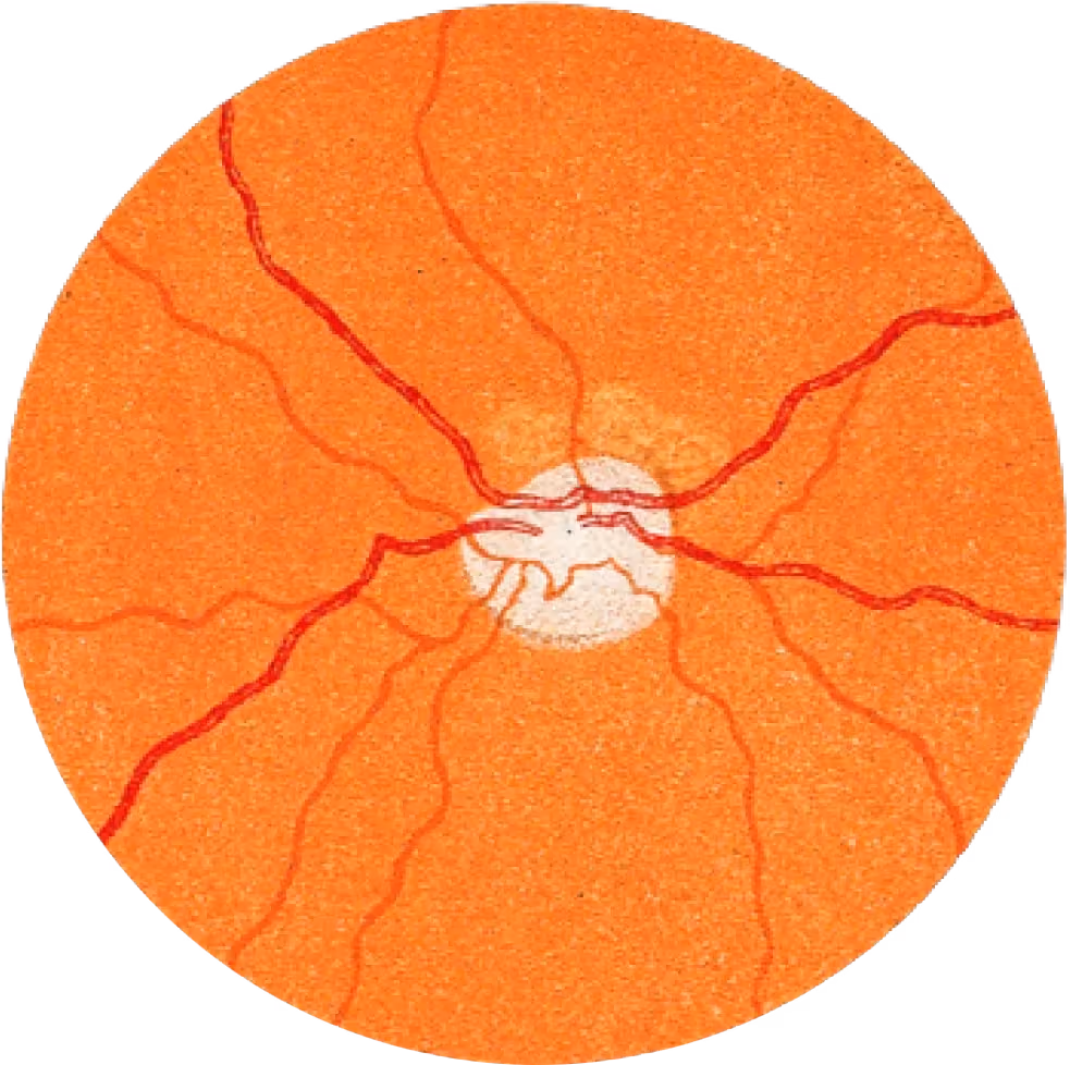 Center portion of retinal scan imagery