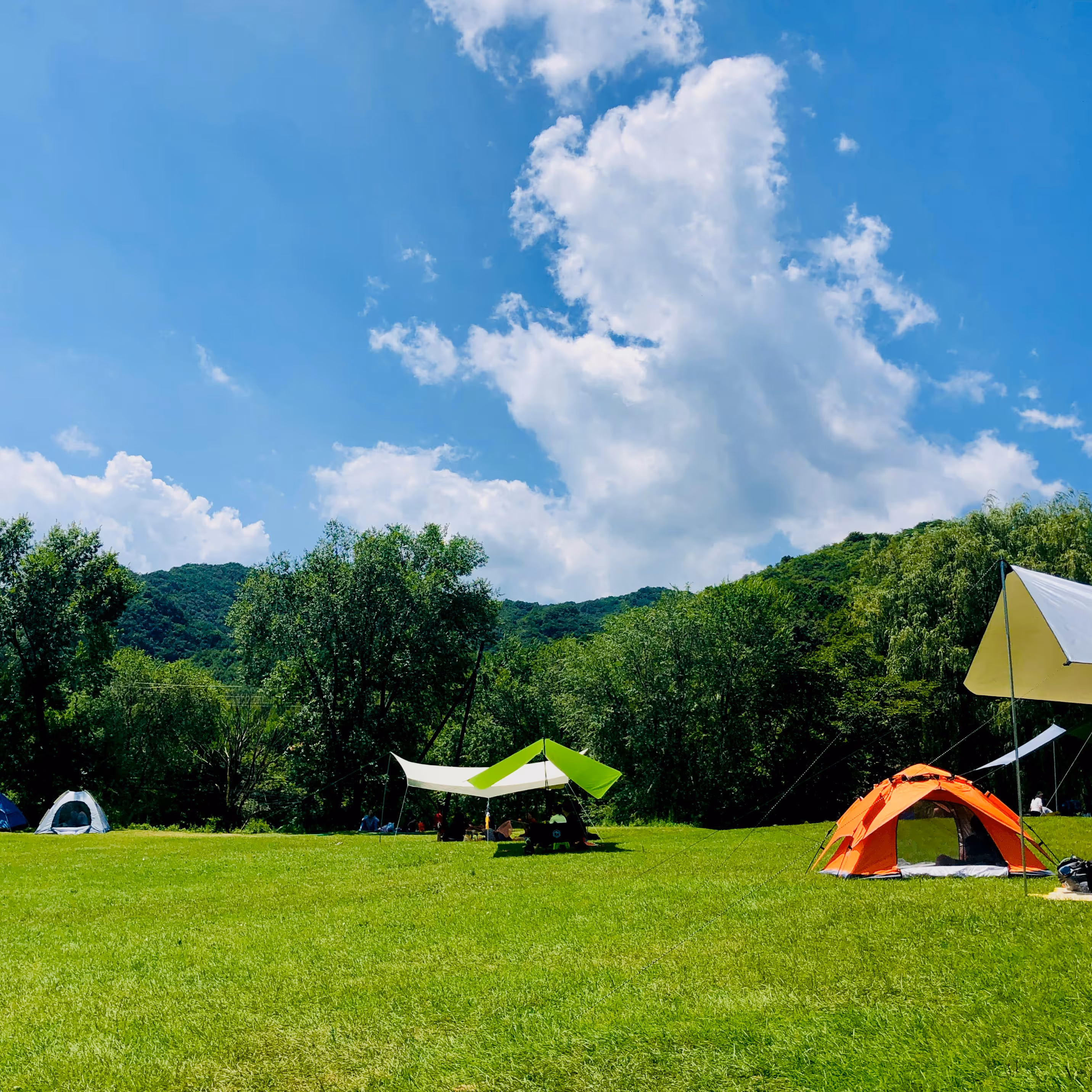 Summer camp group games and activities