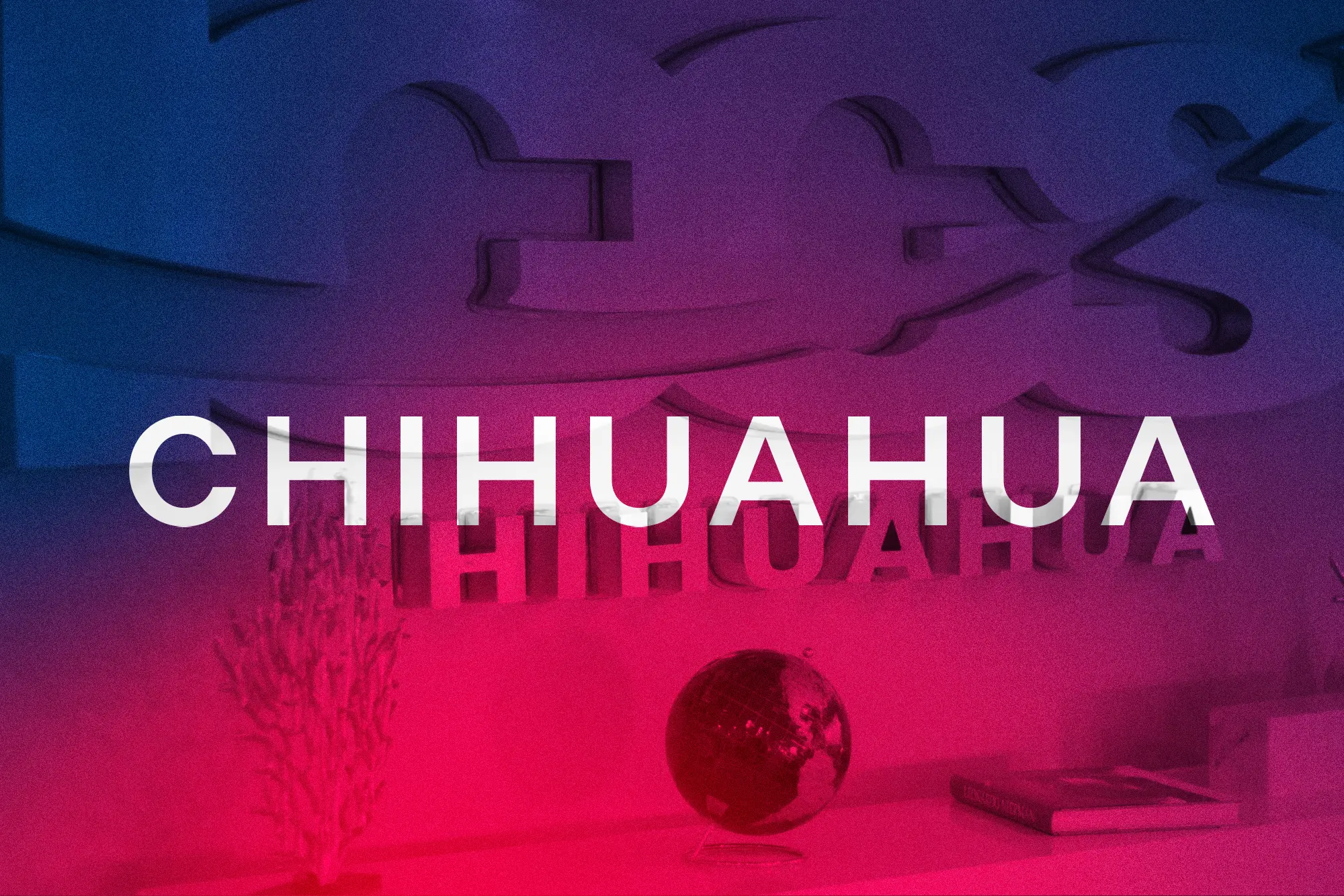 Interior wall with the word CHIHUAHUA in large letters, a small globe, a decorative plant, and a book on a surface below.
