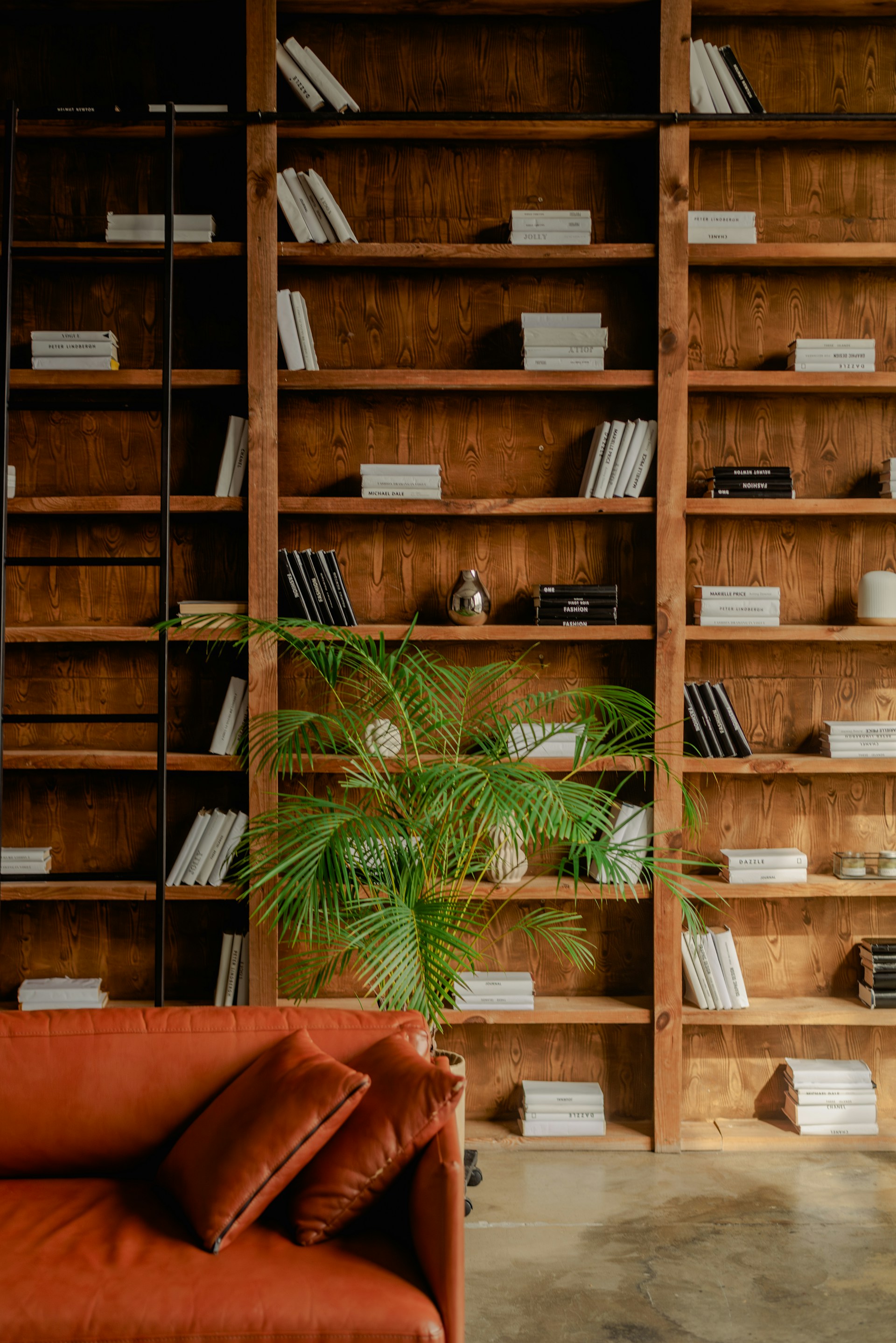 Bookshelves filled with stacked wood