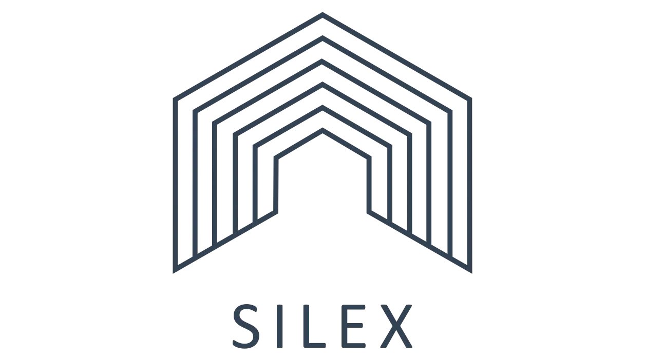 Logo SILEX, marchand de biens à Nancy
