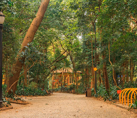 A 500 m do Parque Trianon