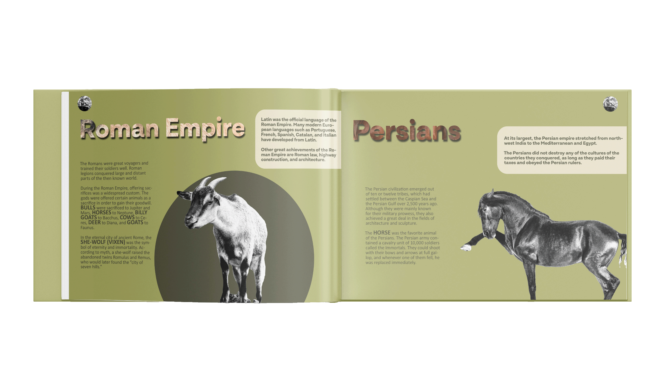 Mockup up of pages 7 and 8 for Totem by Mia Cassany and Nacho Eterno.