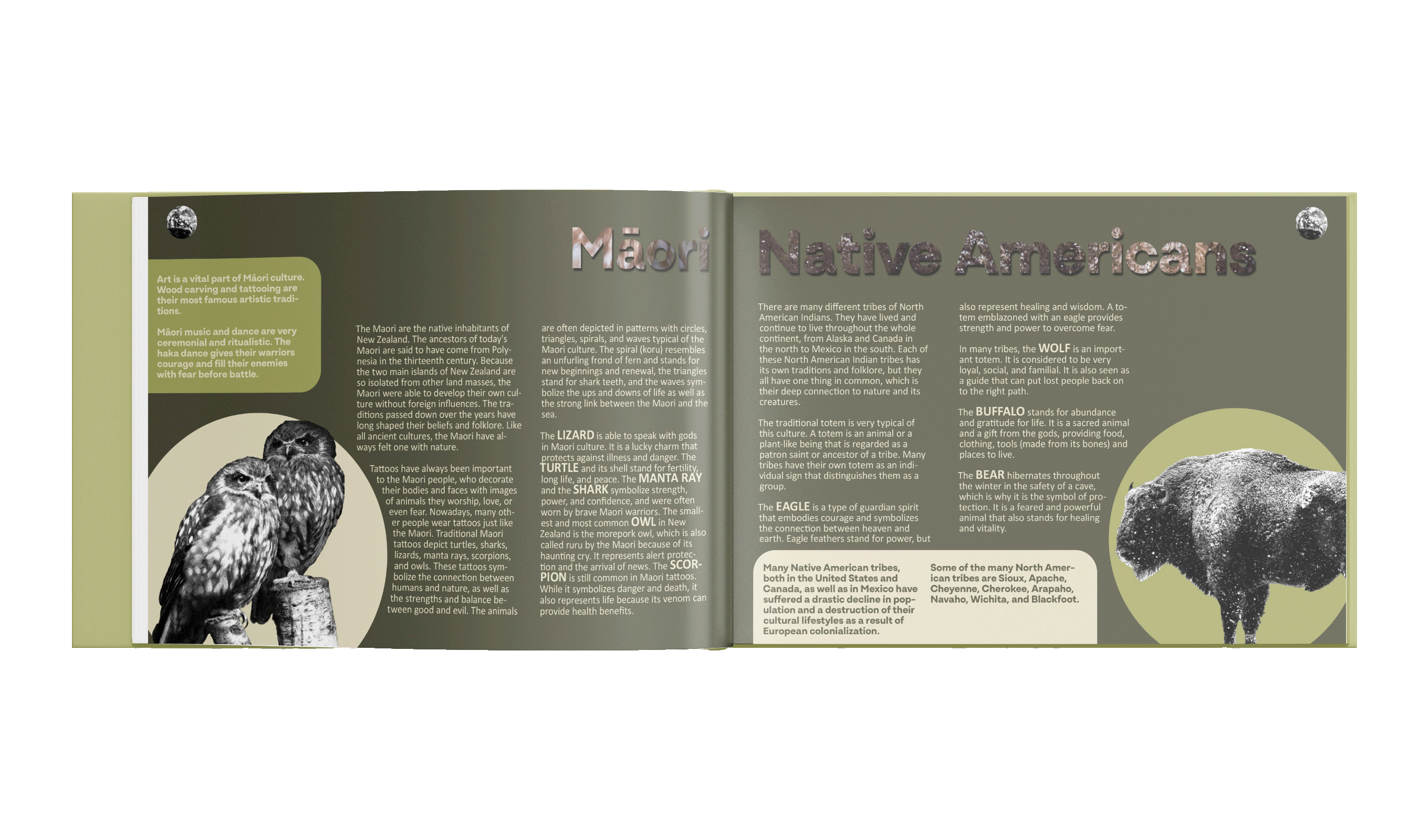 Mockup up of pages 3 and 4 for Totem by Mia Cassany and Nacho Eterno.