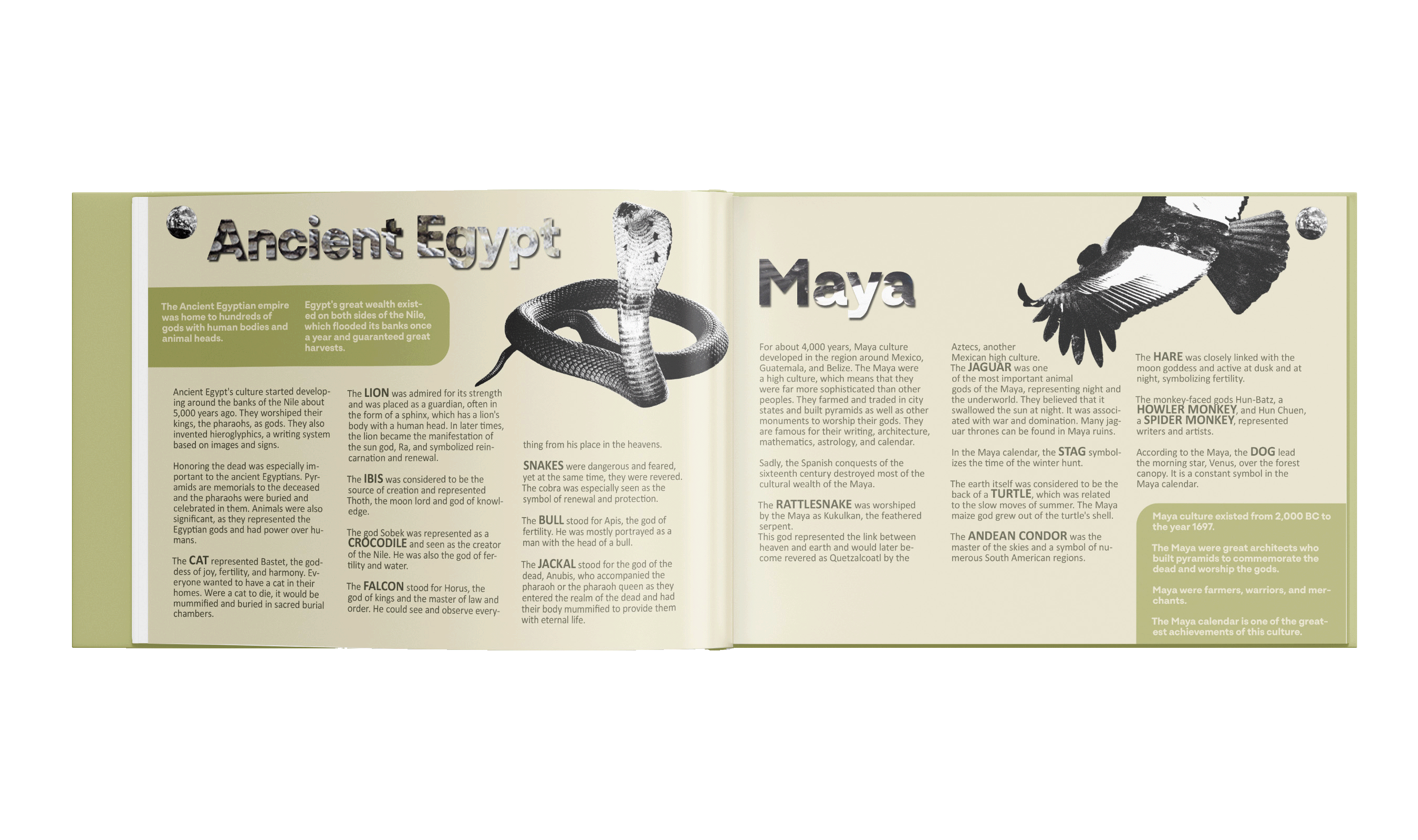 Mockup up of pages 5 and 6 for Totem by Mia Cassany and Nacho Eterno.