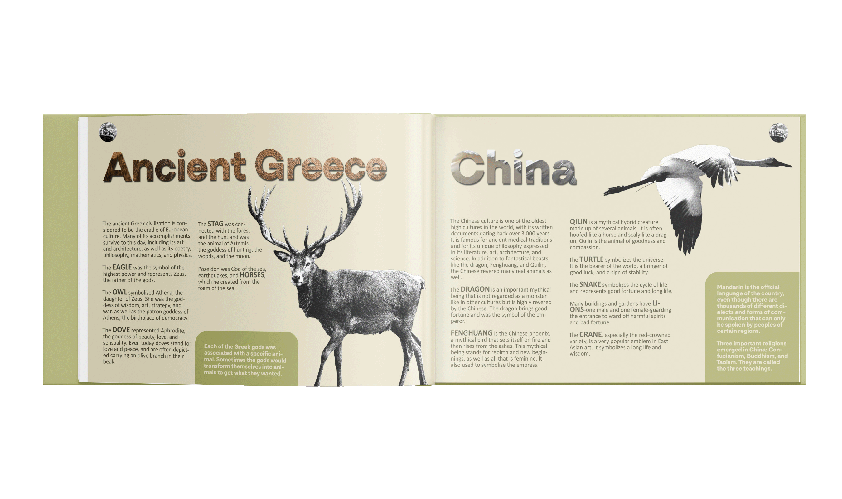 Mockup up of pages 11 and 12 for Totem by Mia Cassany and Nacho Eterno.