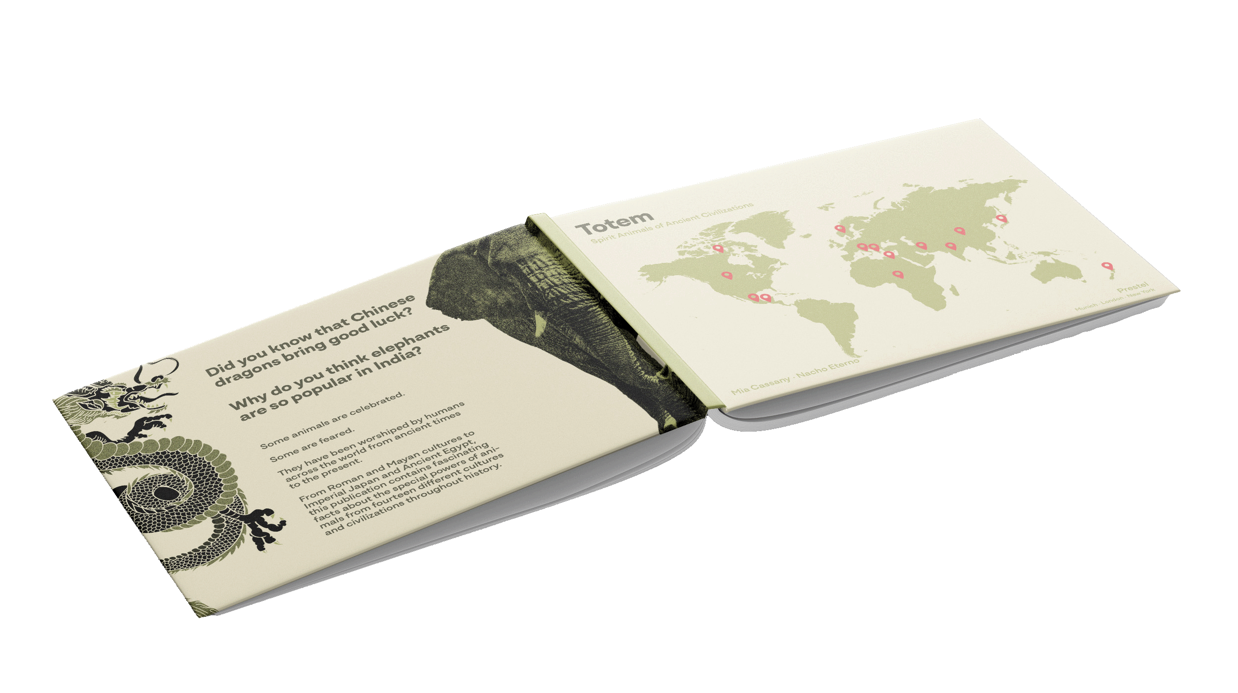 Mockup up of a book laying open, face down to display the front cover, spine, and back cover created for Totem by Mia Cassany and Nacho Eterno.