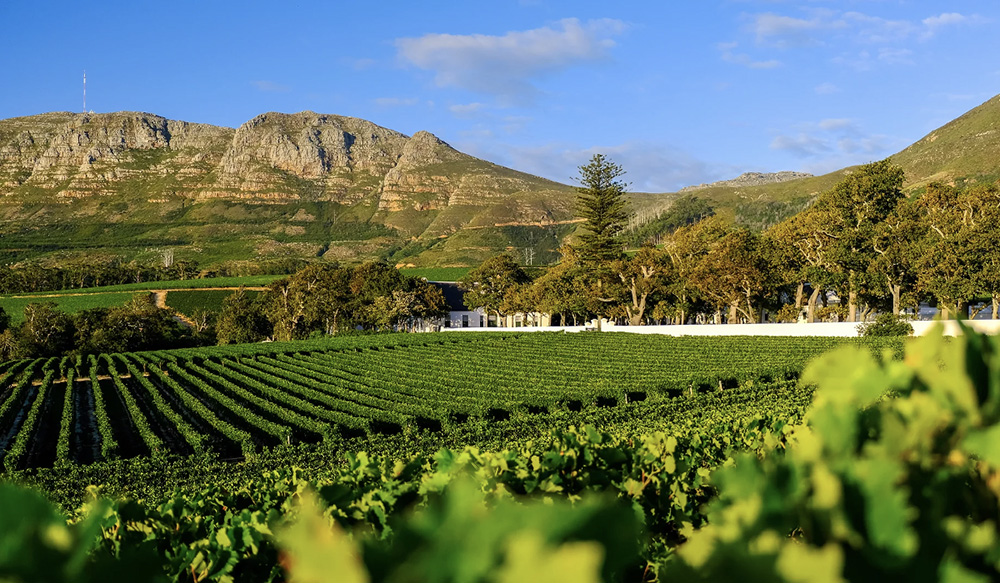 Constantia