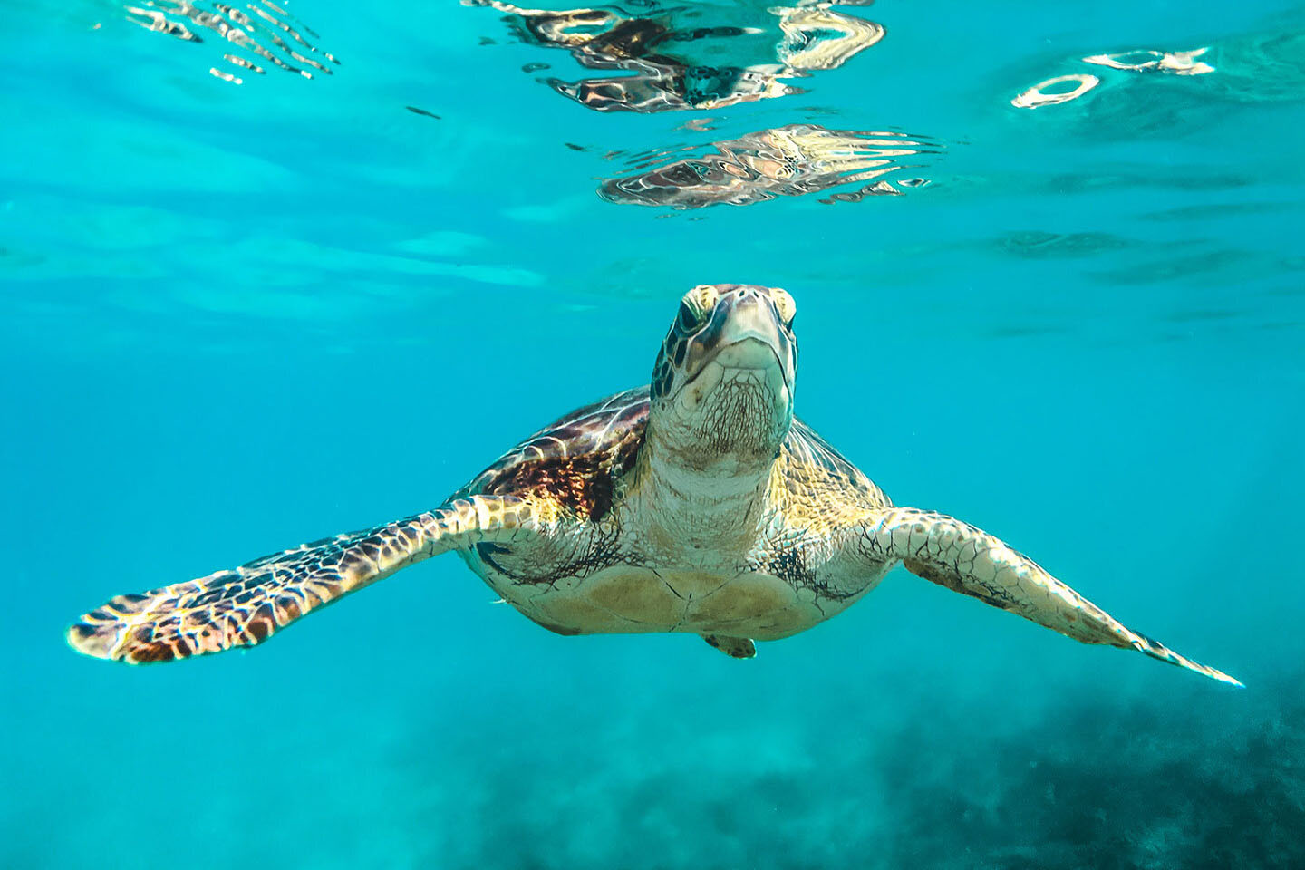 Akumal