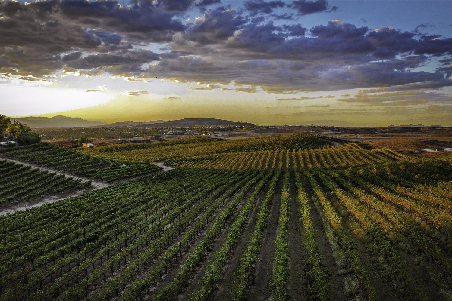 Fazelli Wineries