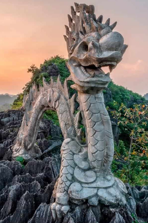 The Dragon