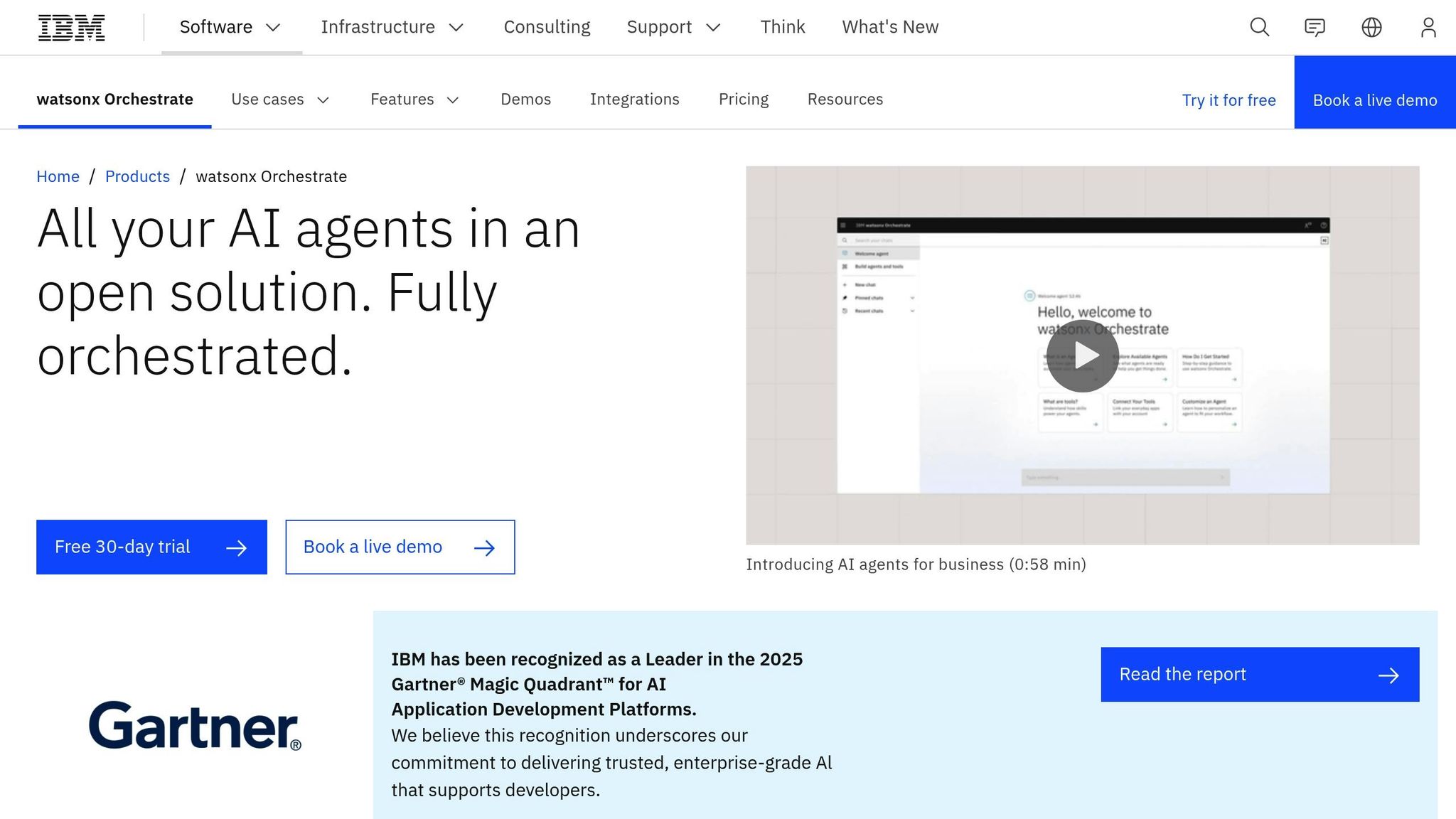 IBM Watson Orchestrate
