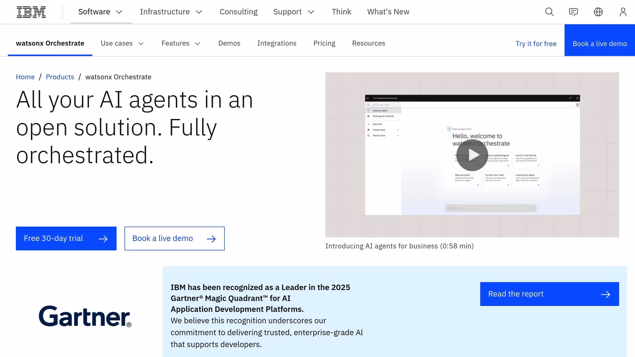 IBM Watson Orchestrate
