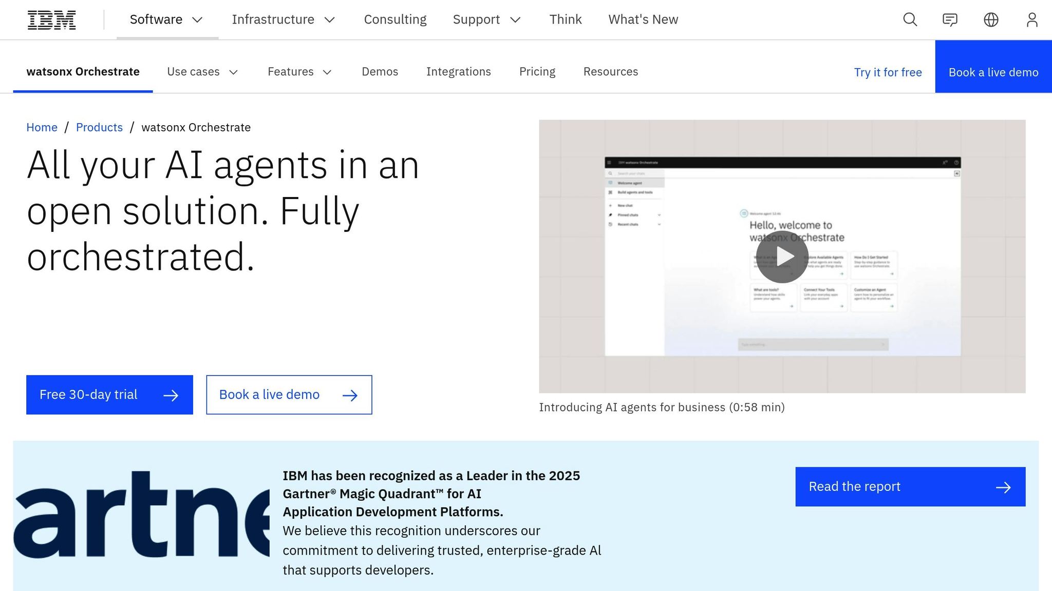IBM watsonx Orchestrate