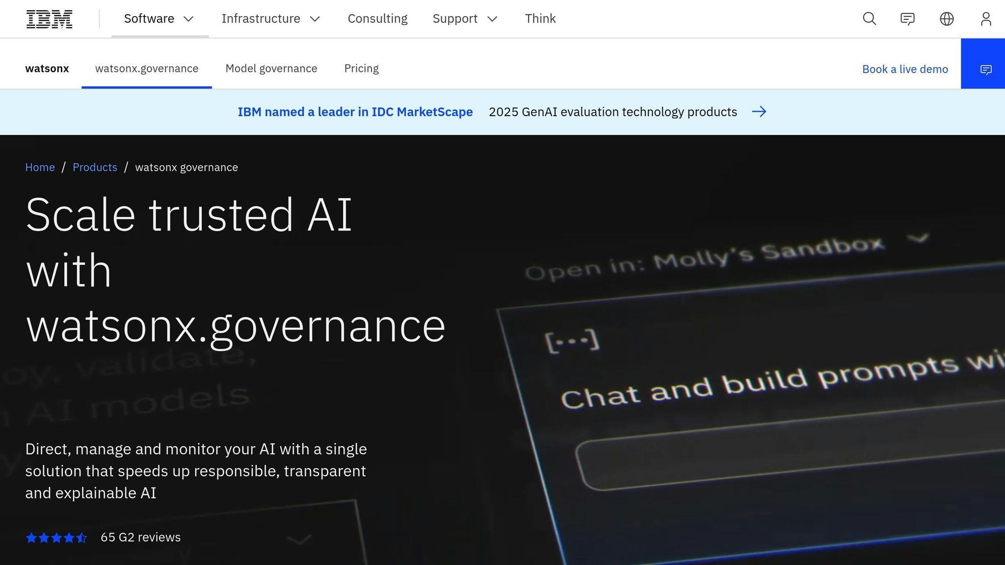 IBM watsonx.governance