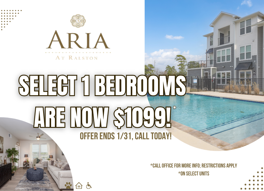 $500 Gift Card Special Pop-up Graphic