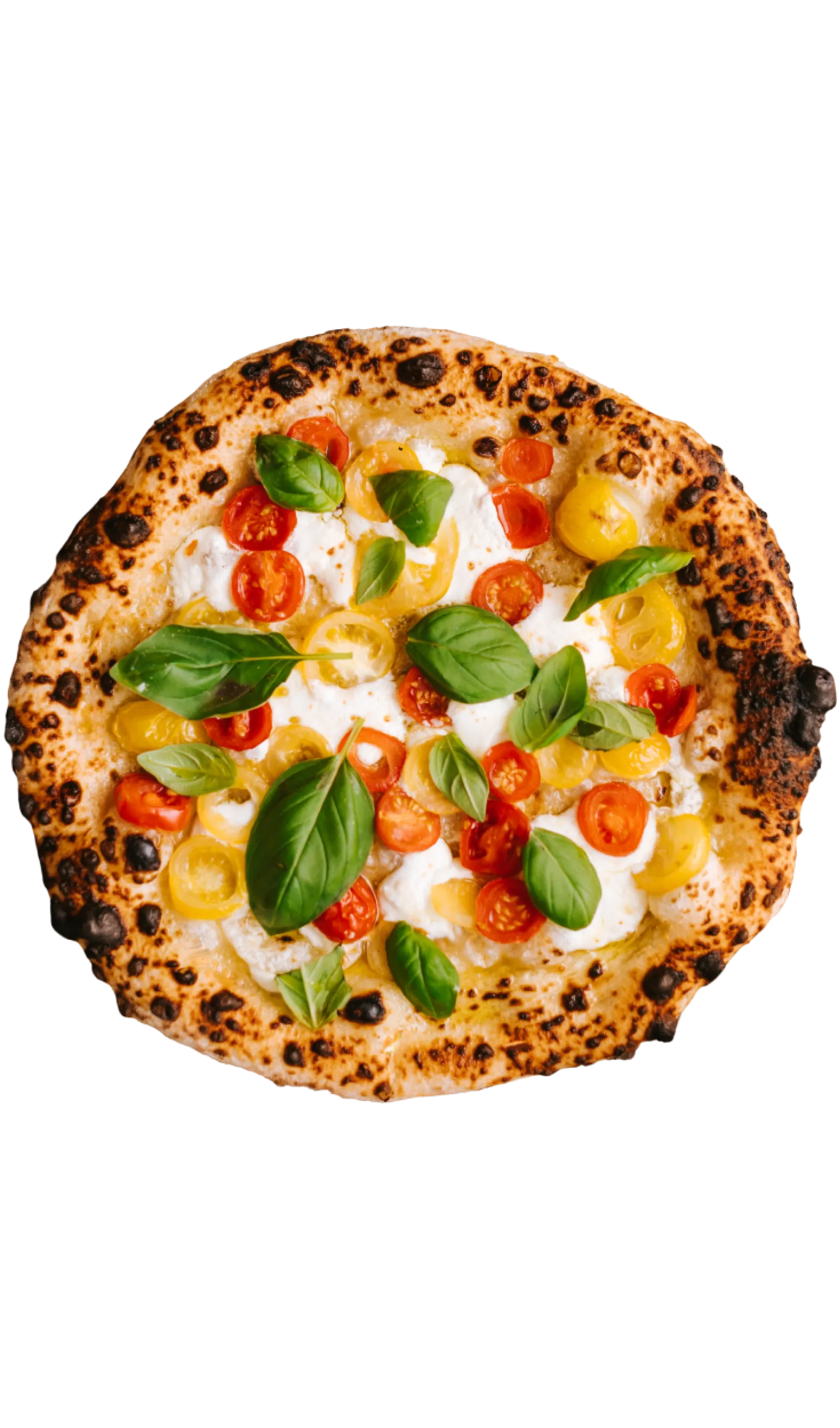 Italian style pizza with fresh cheese, herb, and small colourful tomatoes