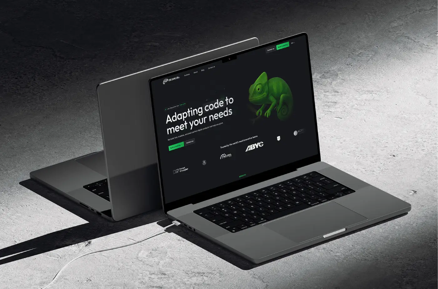 Open laptop on a concrete surface showing a website homepage with the text 'Adapting code to meet your needs' and a green chameleon illustration on a dark background.
