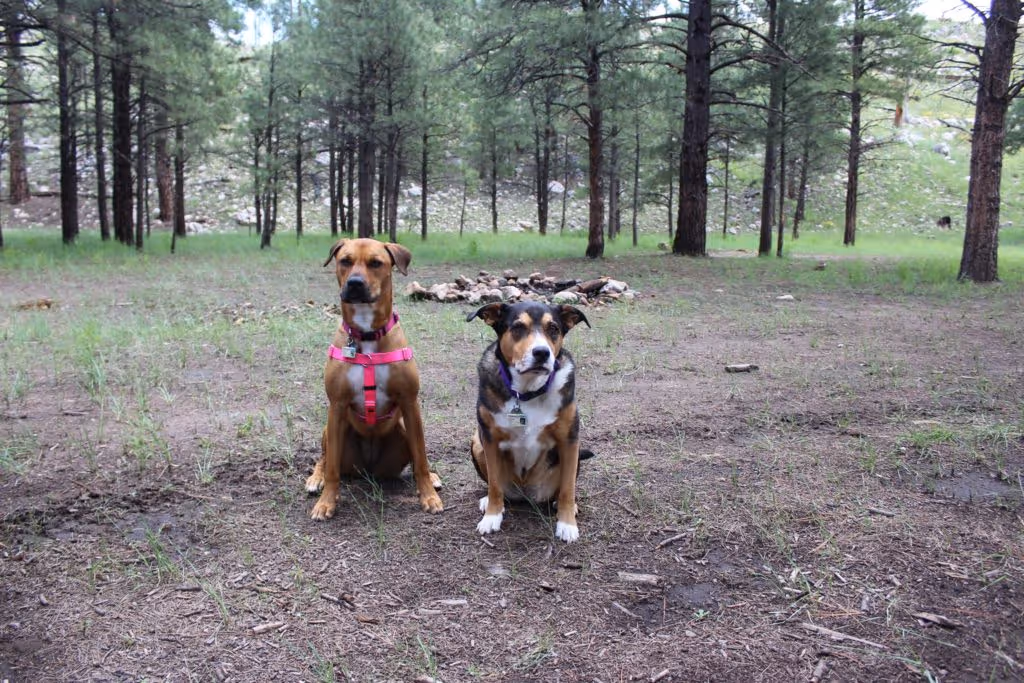 Client review image describing positive results from Fit Body Boot Camp Arizona