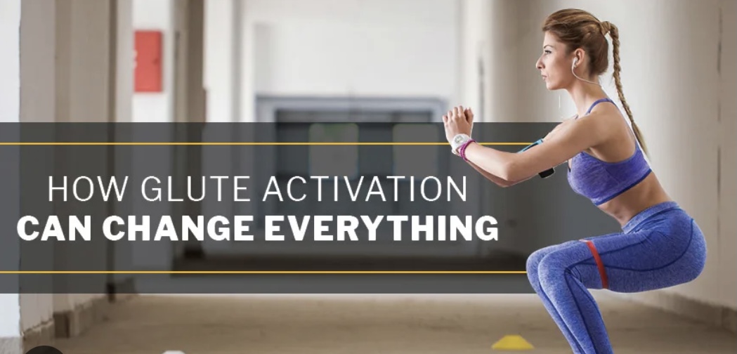 Picture showing the gluteal nerves that originate from the low back 