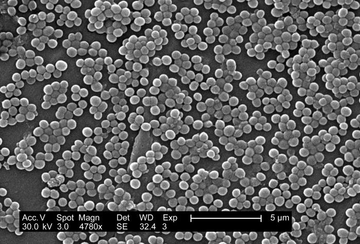 Disinfection technology