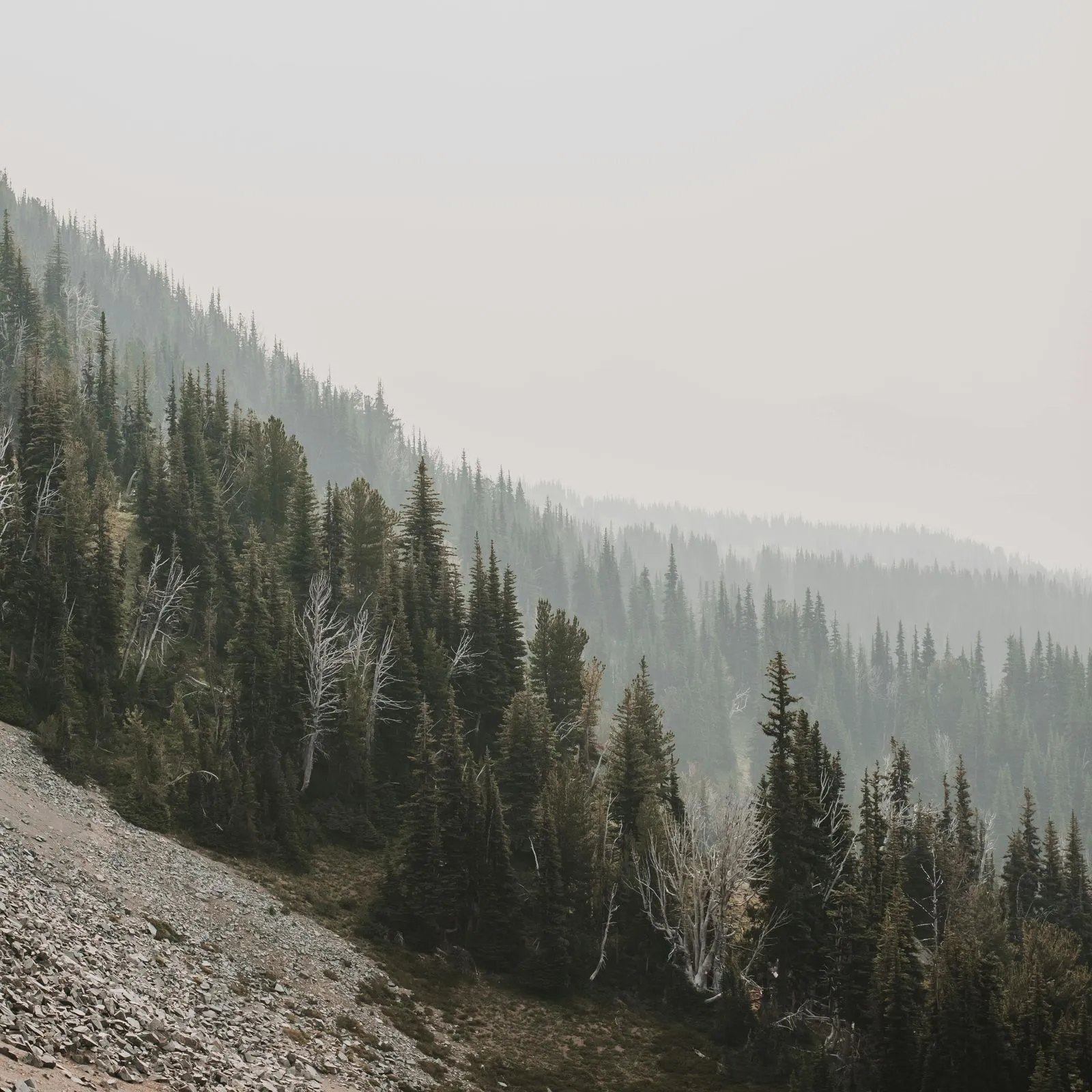 Lumana | AI Security System