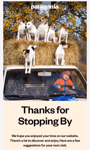 Patagonia email with the headline ‘Thanks for Stopping By’ featuring a child in an orange jacket pretending to drive a truck, with several Jack Russell terriers sitting on hay bales on the roof.