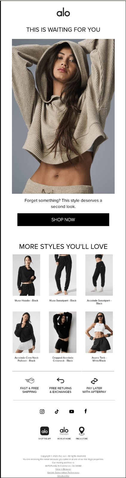 Abandoned cart email example