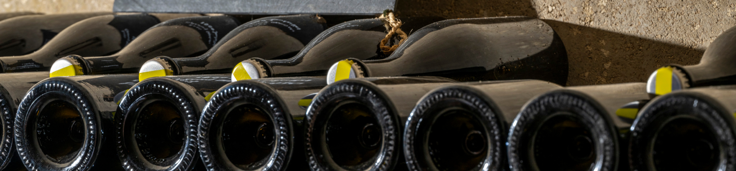 Bouteilles de Champagne sur lies