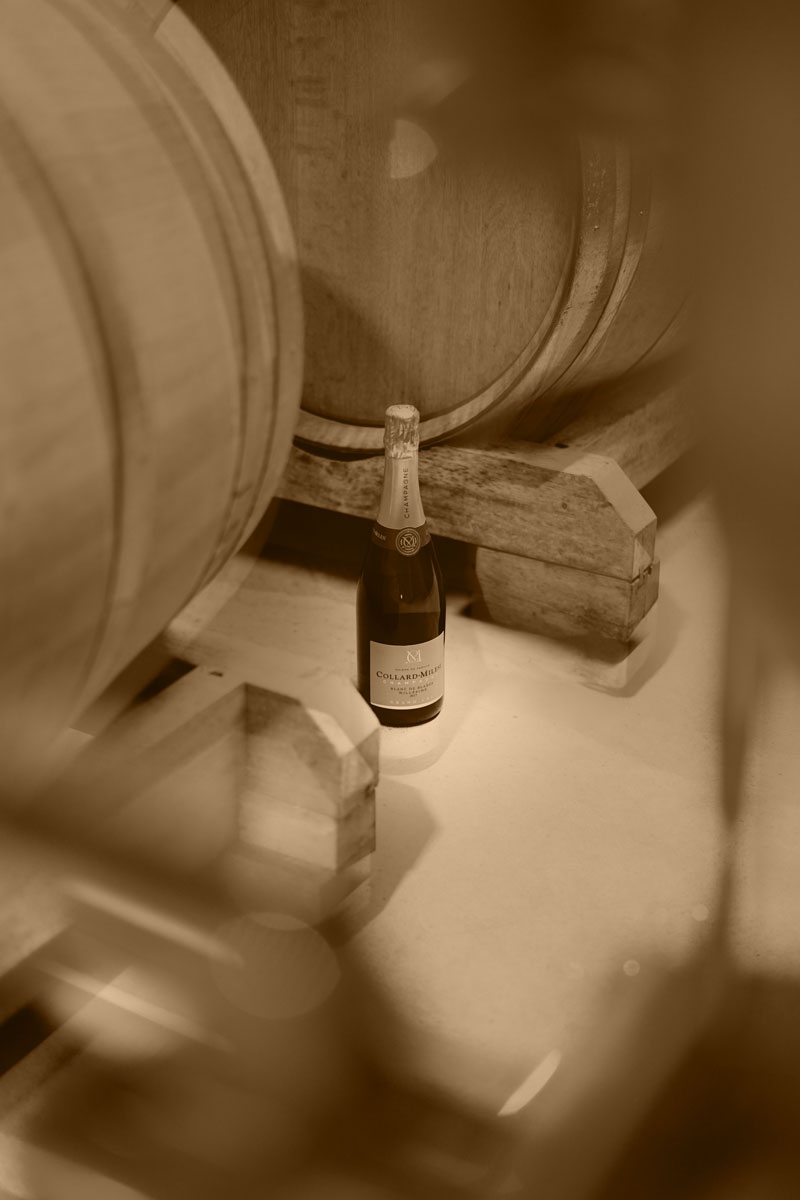 Bouteille de Champagne entre 2 fûts de chêne